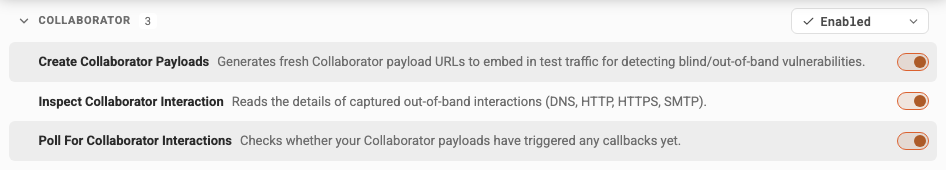 Burp AT tool settings — enable/disable each tool