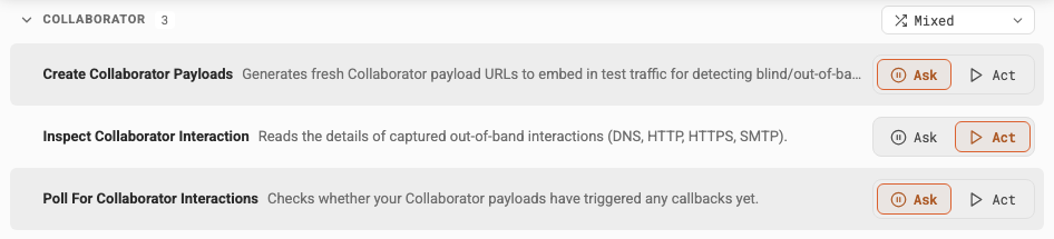 Ask/Act permission toggles in the Burp AT UI
